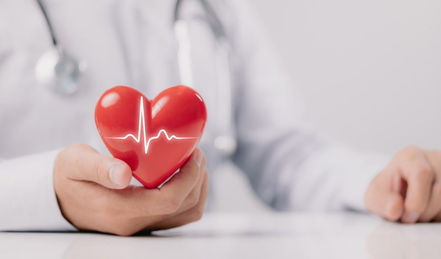 Foto de medio plano manos sosteniendo un corazón de adorno